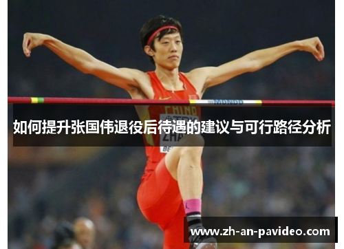 如何提升张国伟退役后待遇的建议与可行路径分析