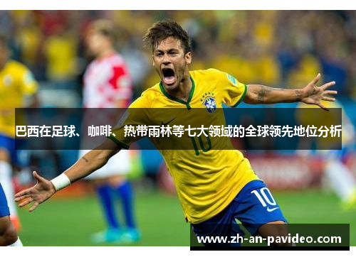 巴西在足球、咖啡、热带雨林等七大领域的全球领先地位分析