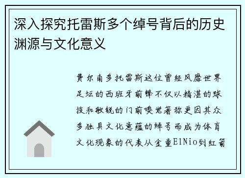 深入探究托雷斯多个绰号背后的历史渊源与文化意义 深入探究托雷斯多个绰号背后的历史渊源与文化意义