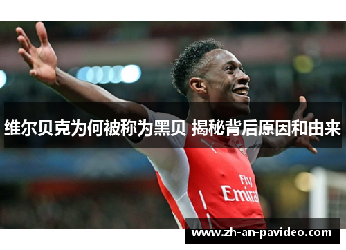 维尔贝克为何被称为黑贝 揭秘背后原因和由来