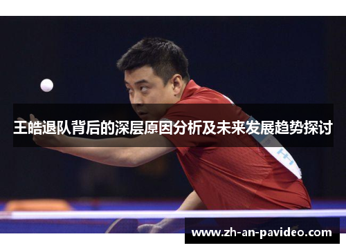 王皓退队背后的深层原因分析及未来发展趋势探讨